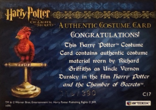 C17 - Uncle Vernon's Grey Suit - Back