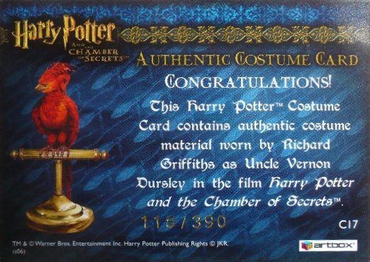 C17 - Uncle Vernon's Grey Suit - Back