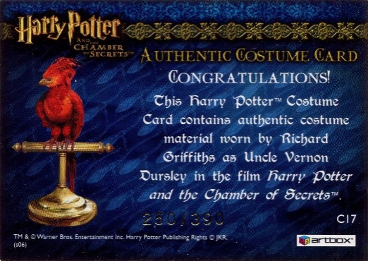 C17 - Uncle Vernon's Grey Suit - Back