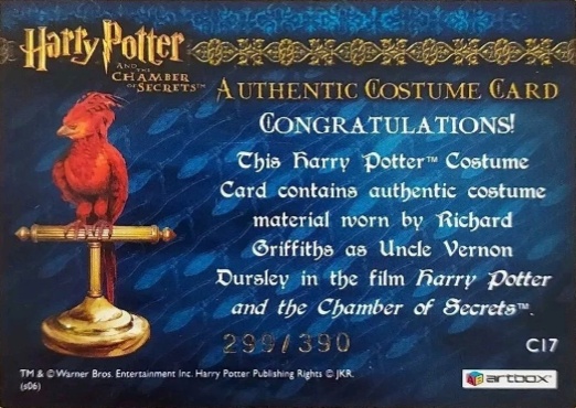 C17 - Uncle Vernon's Grey Suit - Back