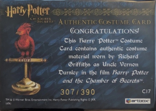 C17 - Uncle Vernon's Grey Suit - Back