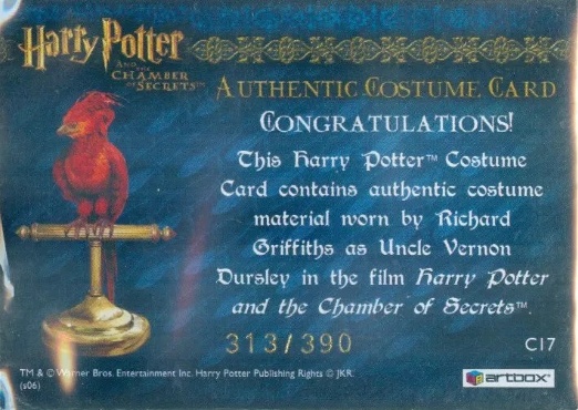 C17 - Uncle Vernon's Grey Suit - Back