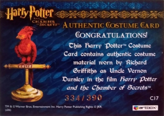 C17 - Uncle Vernon's Grey Suit - Back