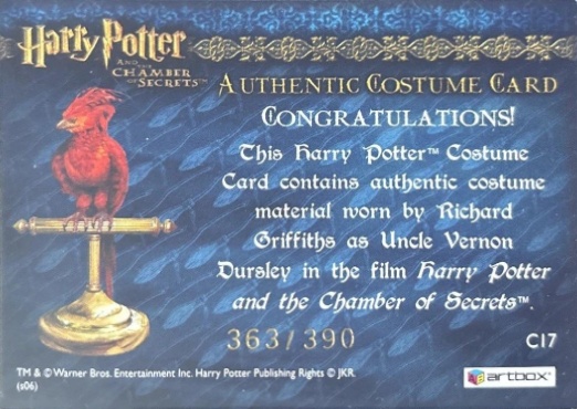 C17 - Uncle Vernon's Grey Suit - Back