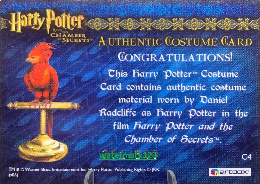 C4 - Harry Potter's Striped Shirt - Back