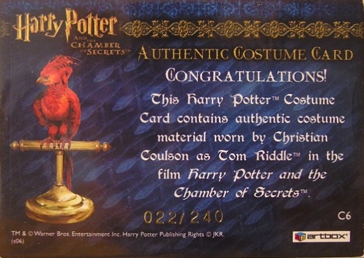 C6 - Tom Riddle's Jumper - Back