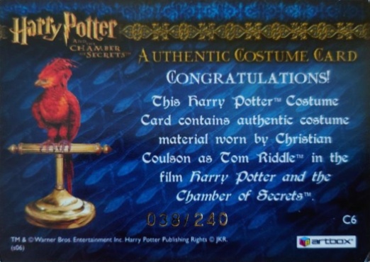 C6 - Tom Riddle's Jumper - Back