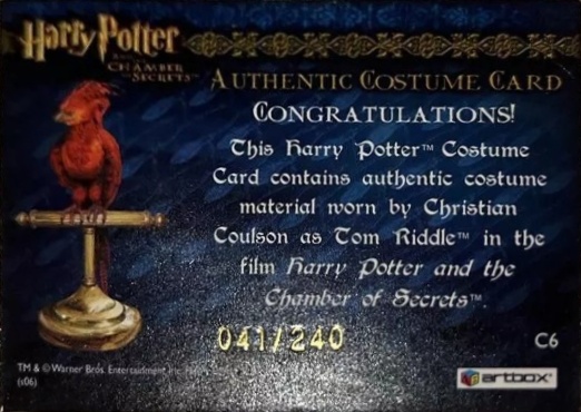 C6 - Tom Riddle's Jumper - Back