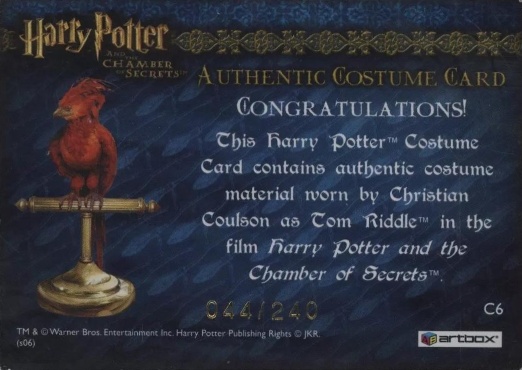 C6 - Tom Riddle's Jumper - Back