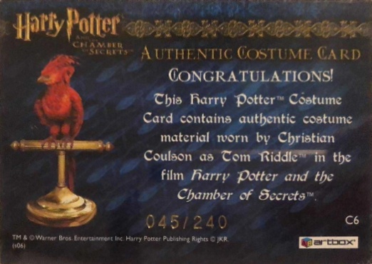 C6 - Tom Riddle's Jumper - Back