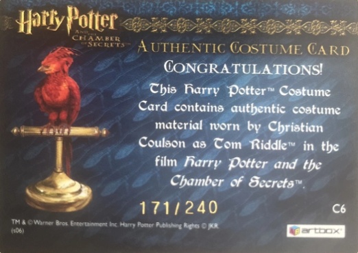 C6 - Tom Riddle's Jumper - Back