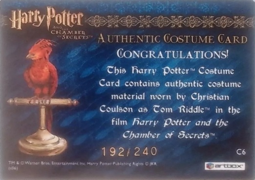 C6 - Tom Riddle's Jumper - Back