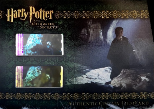 CFC7 - Basilisk Skin - Front