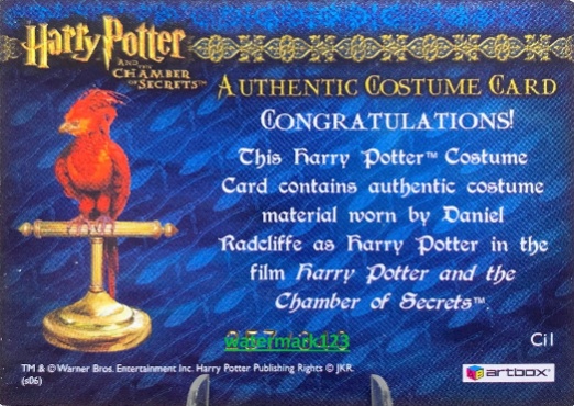 Ci1 - Harry Potter's Striped Pajamas - Back