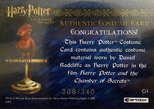 Ci1 - Harry Potter's Striped Pajamas - Back