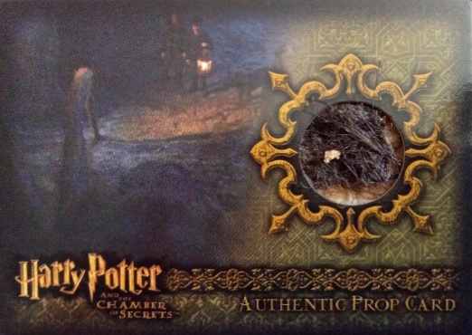 P8 - Aragog's Legs - Front