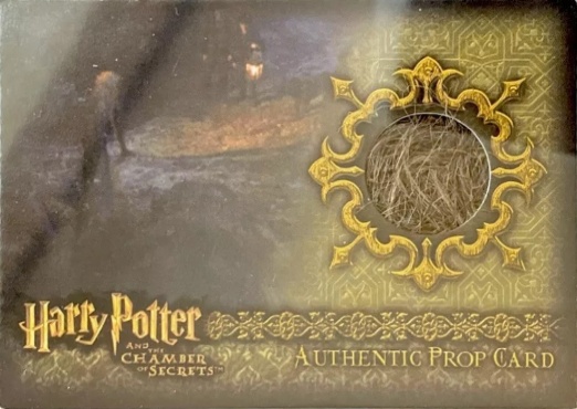 P8 - Aragog's Legs - Front