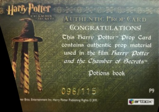 P9 - Potions Book - Back