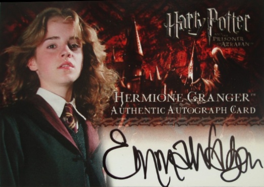 Emma Watson as Hermione Granger