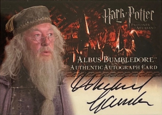 Michael Gambon as Albus Dumbledore
