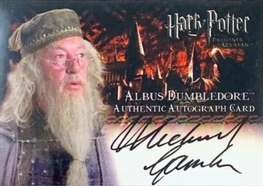 Michael Gambon as Albus Dumbledore - Front