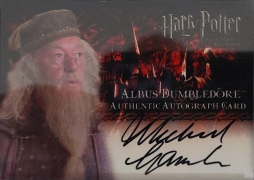 Michael Gambon as Albus Dumbledore - Front