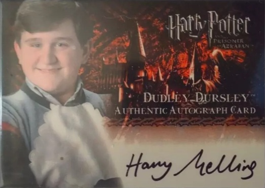 Harry Melling as Dudley Dursley - Front