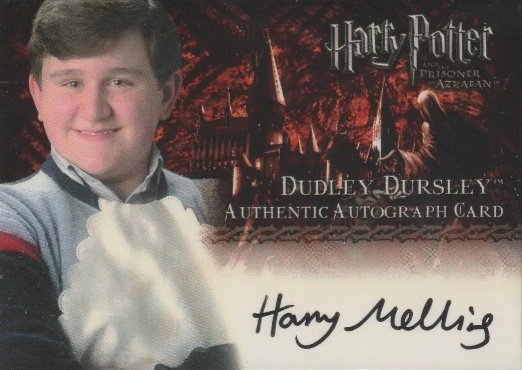 Harry Melling as Dudley Dursley - Front