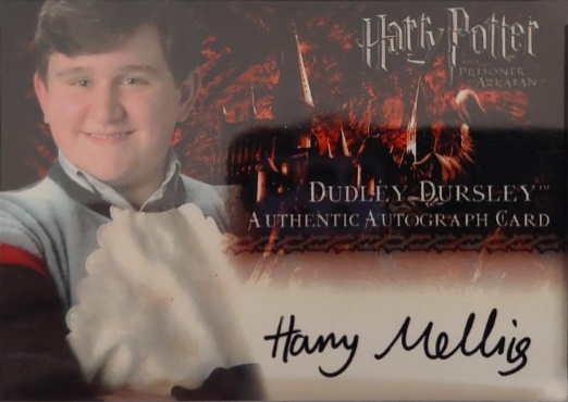 Harry Melling as Dudley Dursley - Front