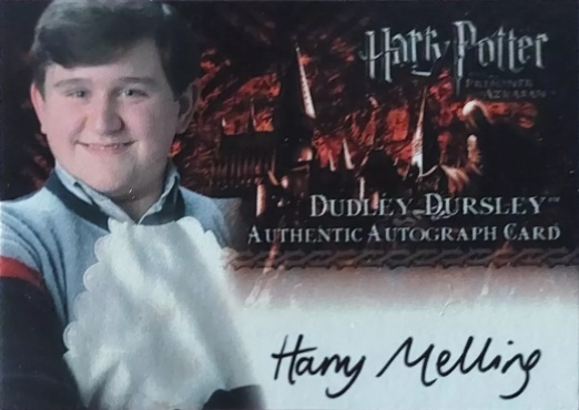 Harry Melling as Dudley Dursley - Front