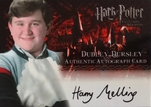 Harry Melling as Dudley Dursley - Front