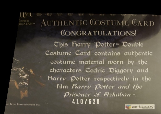 Cedric Diggory  Harry Potter Quidditch Robes - Back