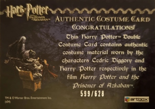 Cedric Diggory  Harry Potter Quidditch Robes - Back