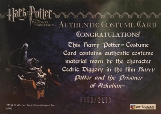 Cedric Diggory's Quidditch Robe - Back