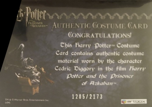 Cedric Diggory's Quidditch Robe - Back