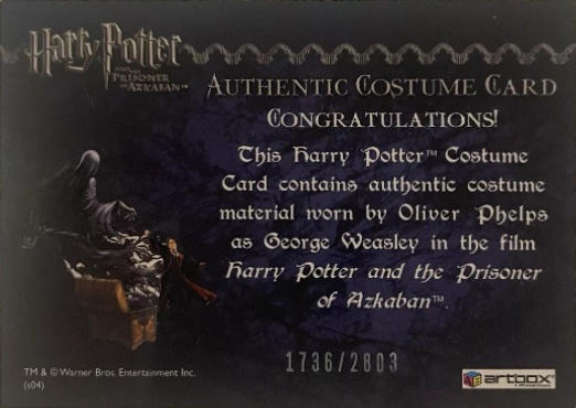 George Weasley's Quidditch Costume - Back