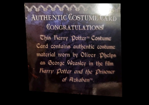 George Weasley's Quidditch Costume - Back