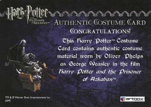 George Weasley's Quidditch Costume - Back