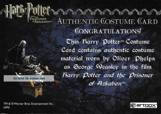 George Weasley's Quidditch Costume - Back