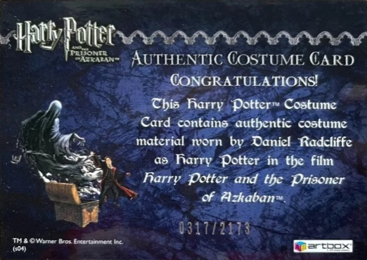 Harry Potter's Quidditch Costume - Back