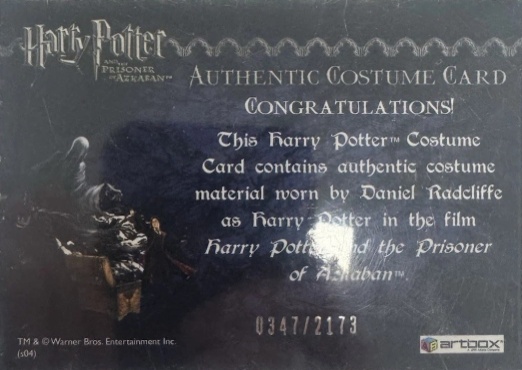 Harry Potter's Quidditch Costume - Back