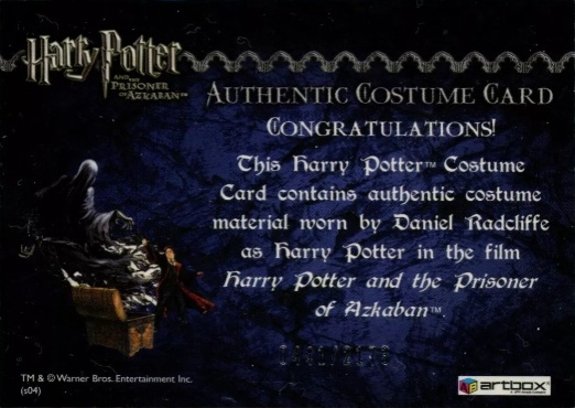 Harry Potter's Quidditch Costume - Back