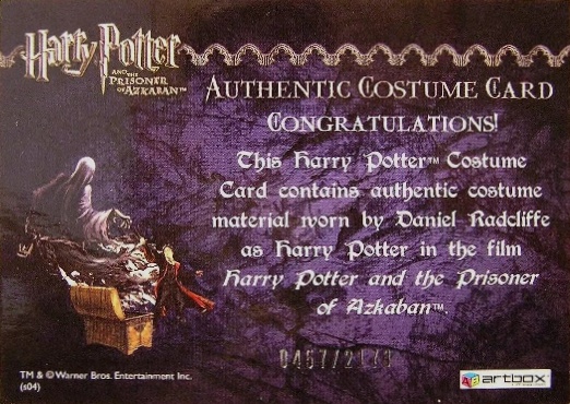 Harry Potter's Quidditch Costume - Back