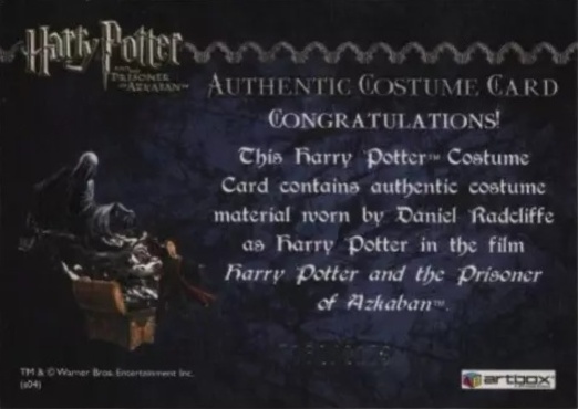 Harry Potter's Quidditch Costume - Back