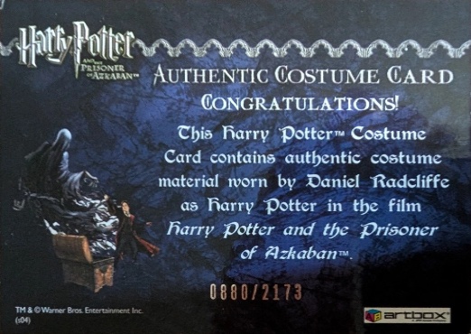 Harry Potter's Quidditch Costume - Back