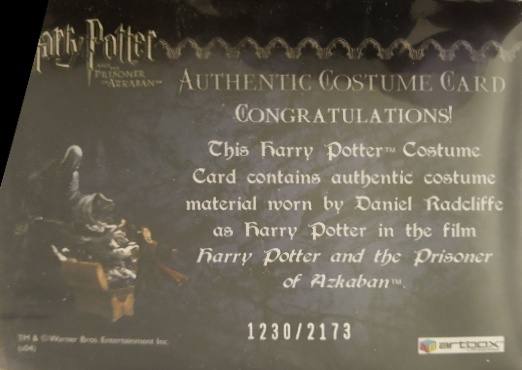 Harry Potter's Quidditch Costume - Back