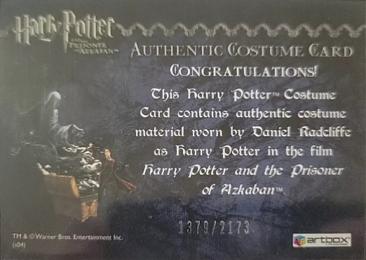 Harry Potter's Quidditch Costume - Back