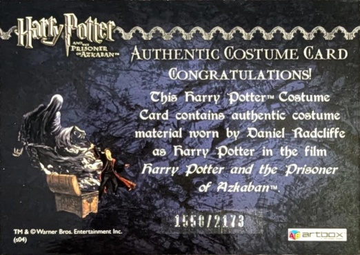 Harry Potter's Quidditch Costume - Back