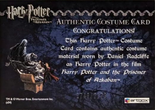 Harry Potter's Quidditch Costume - Back