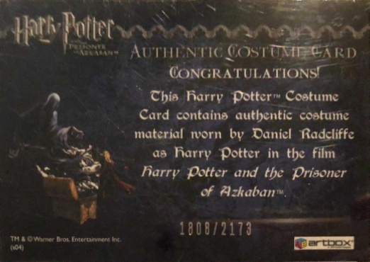 Harry Potter's Quidditch Costume - Back